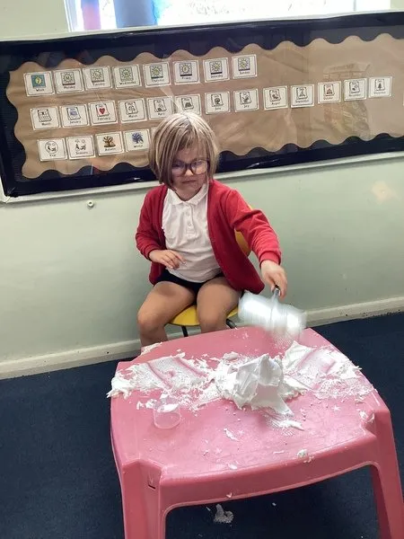 Maple Class - image 41