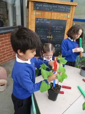 Giant Beanstalks - image 30