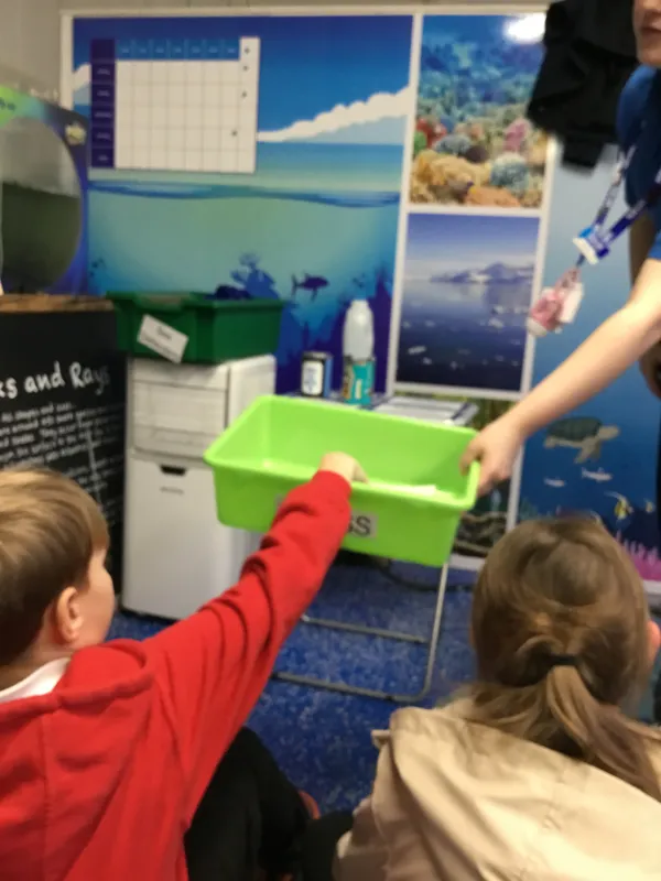 Year 5 Sealife Centre  - image 48