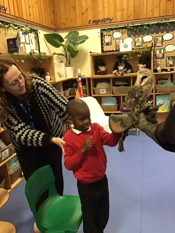 birds of prey year 1 25 - image 8 birds of prey year 1 25 - image 8
