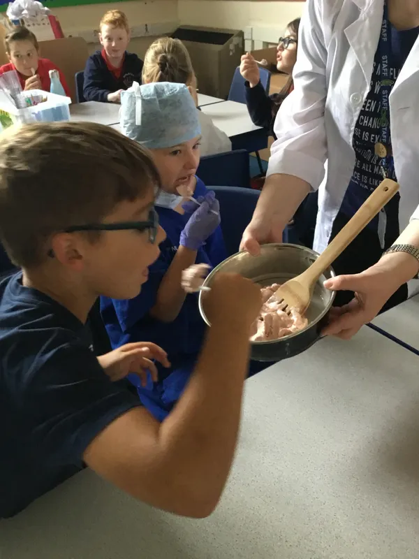 Gallery - created at 2019-09-17 19:22:10 - image 10 Gallery - created at 2019-09-17 19:22:10 - image 10