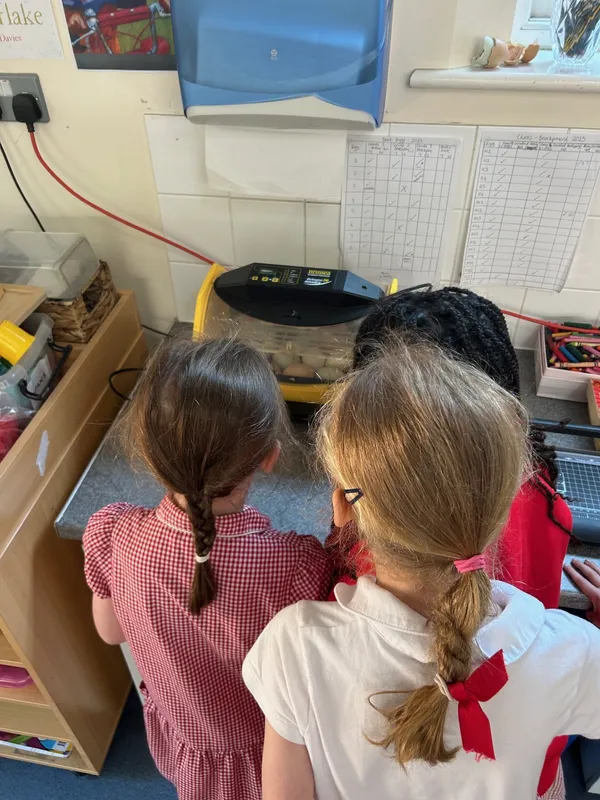 Gallery - created at 2025-05-15 20:09:46 - image 7