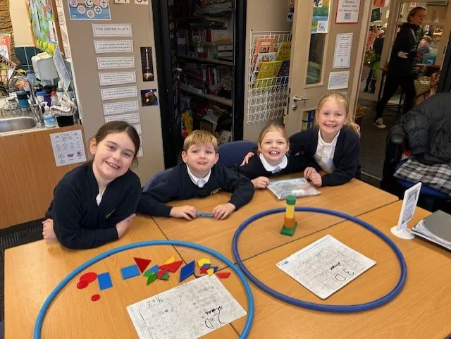 Swallows sorting 2D and 3D shapes in a variety of ways - image 8 Swallows sorting 2D and 3D shapes in a variety of ways - image 8