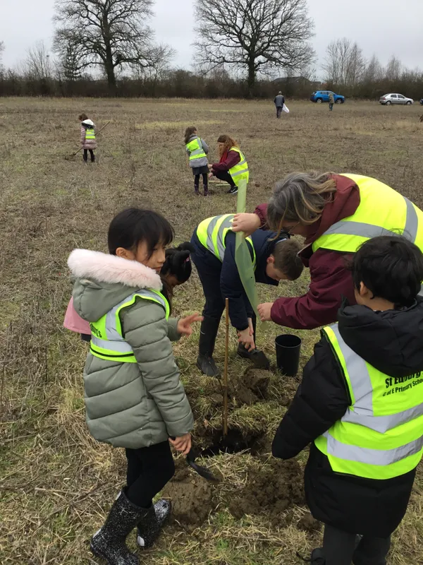 See our work in progress in this gallery! - image 50