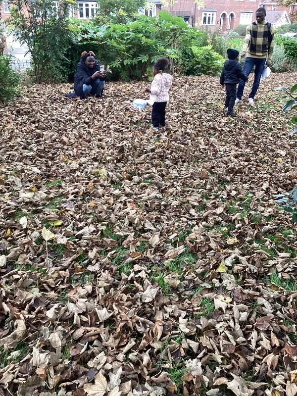 Gallery - created at 2024-11-08 10:10:59 - image 38 Gallery - created at 2024-11-08 10:10:59 - image 38