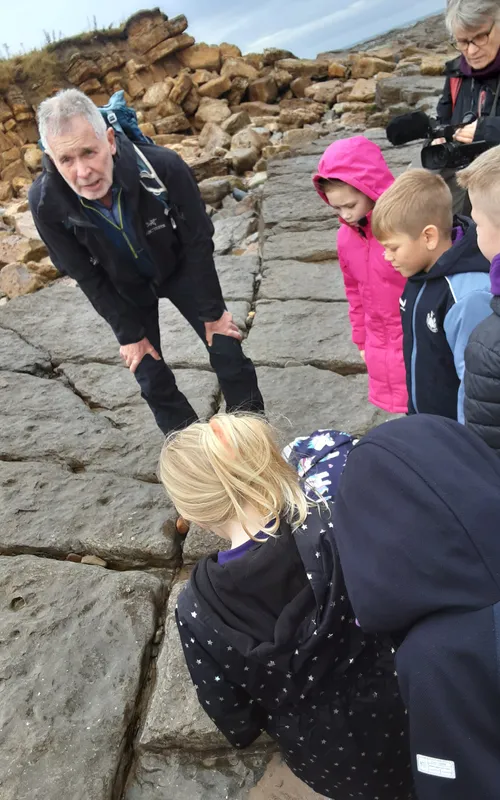 Gallery - created at 2024-10-11 14:26:20 - image 23 Gallery - created at 2024-10-11 14:26:20 - image 23