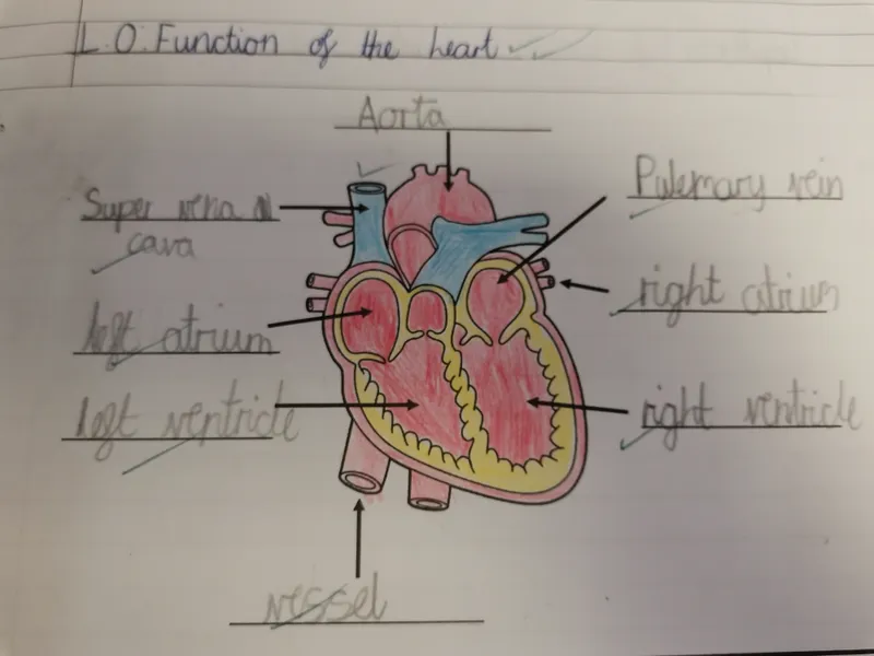 Gallery - created at 2025-01-04 10:24:52 - image 3