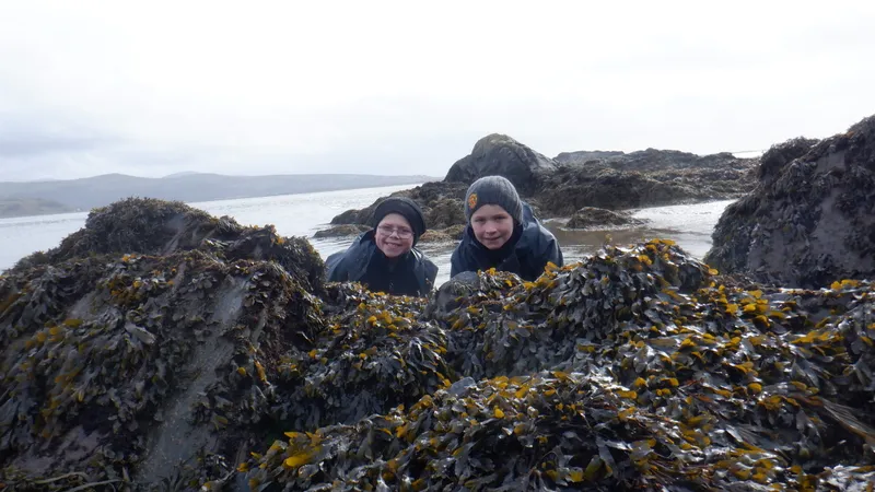 Gallery - created at 2024-02-29 21:40:03 - image 41 Gallery - created at 2024-02-29 21:40:03 - image 41