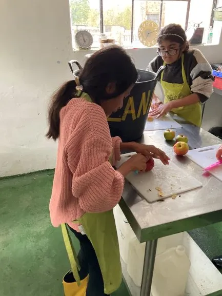 Farm 2025 - Gallery 3 - image 27