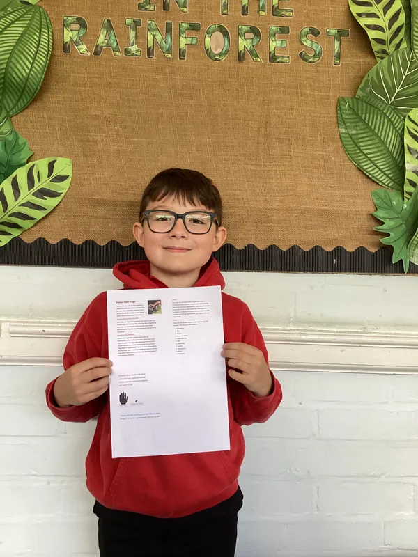 Beech Class Summer Homework Showcase - image 5