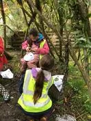 Forest School 119 - image 2 Forest School 119 - image 2