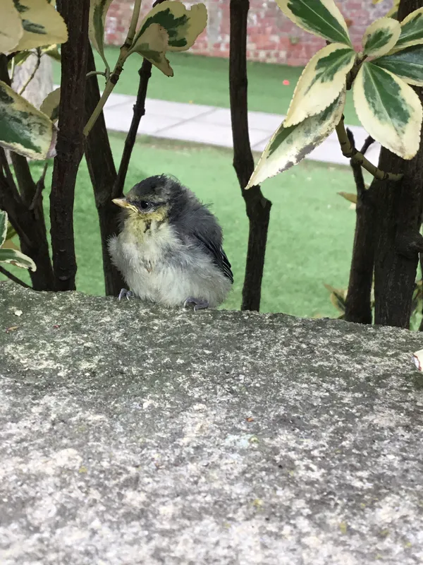 Gallery - created at 2021-05-26 15:44:59 - image 1