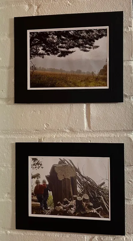 Gallery - created at 2024-11-15 12:36:22 - image 2