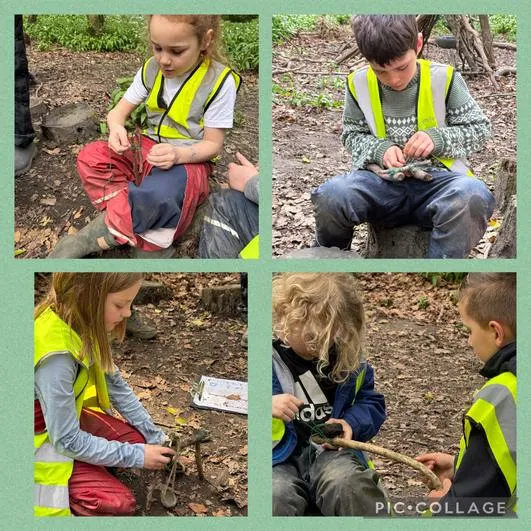 Forest School 10 - image 4 Forest School 10 - image 4