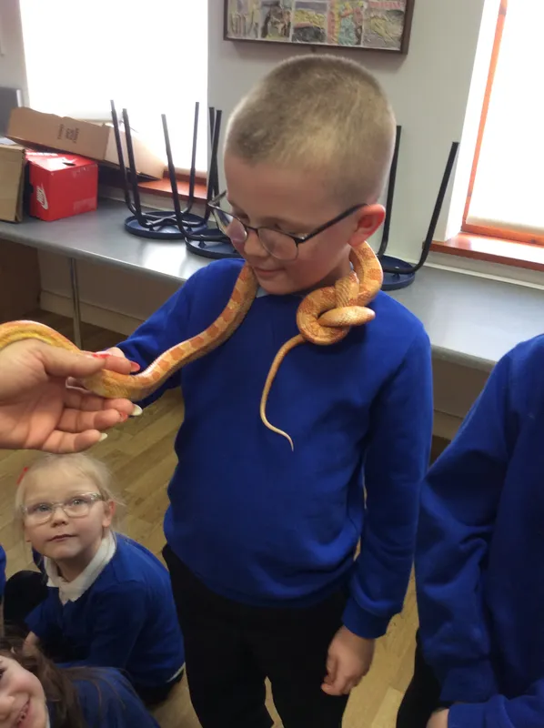 Gallery - created at 2024-02-26 17:15:57 - image 54 Gallery - created at 2024-02-26 17:15:57 - image 54