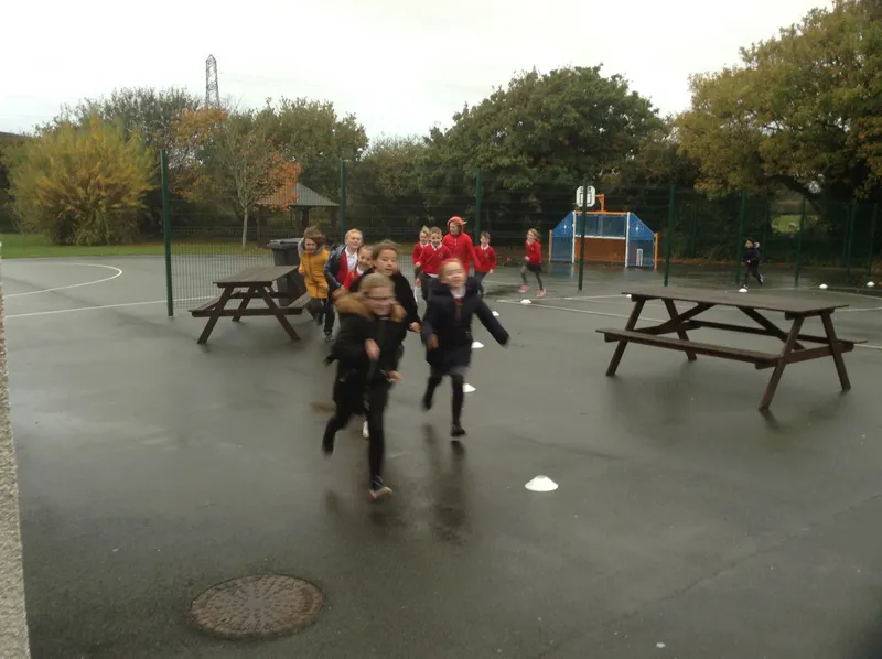 Gallery - created at 2020-11-18 10:25:51 - image 26 Gallery - created at 2020-11-18 10:25:51 - image 26