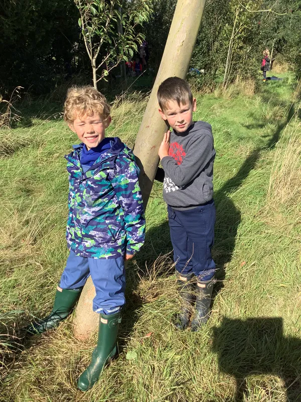 Swallows enjoying their first Forest School session - image 6 Swallows enjoying their first Forest School session - image 6
