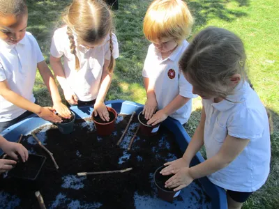 Planting - image 27