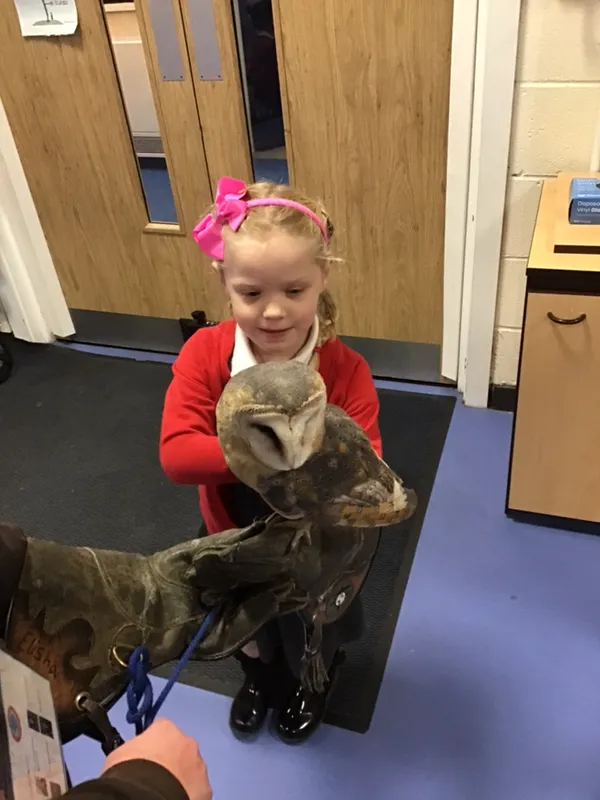 birds of prey year 1 25 - image 14 birds of prey year 1 25 - image 14