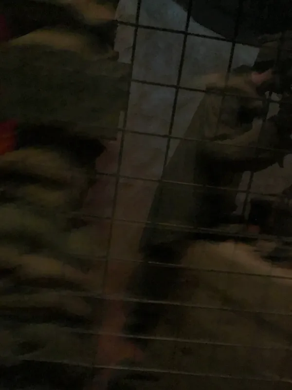 Eden camp 23rd Sept 2025 - image 74