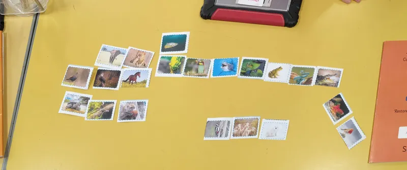 Gallery - created at 2025-05-18 08:56:59 - image 2