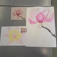 Art Mock Exam Work 2026 - image 3