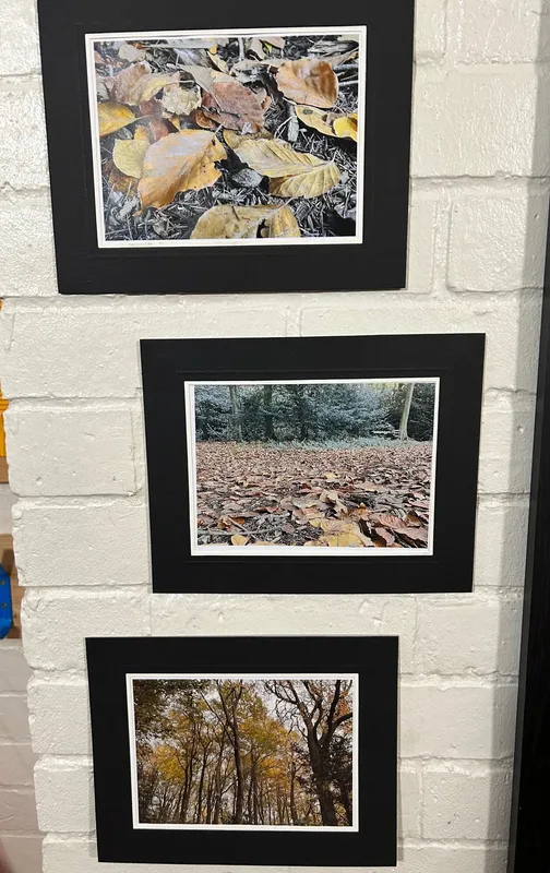 Gallery - created at 2024-11-15 12:36:22 - image 1