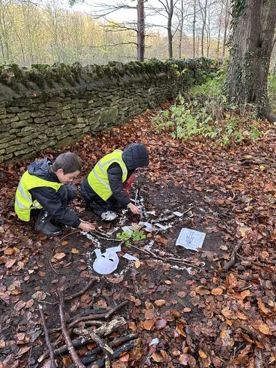 Autumn 2022 - November 23rd - Saplings - Human Skeleton - image 4 Autumn 2022 - November 23rd - Saplings - Human Skeleton - image 4