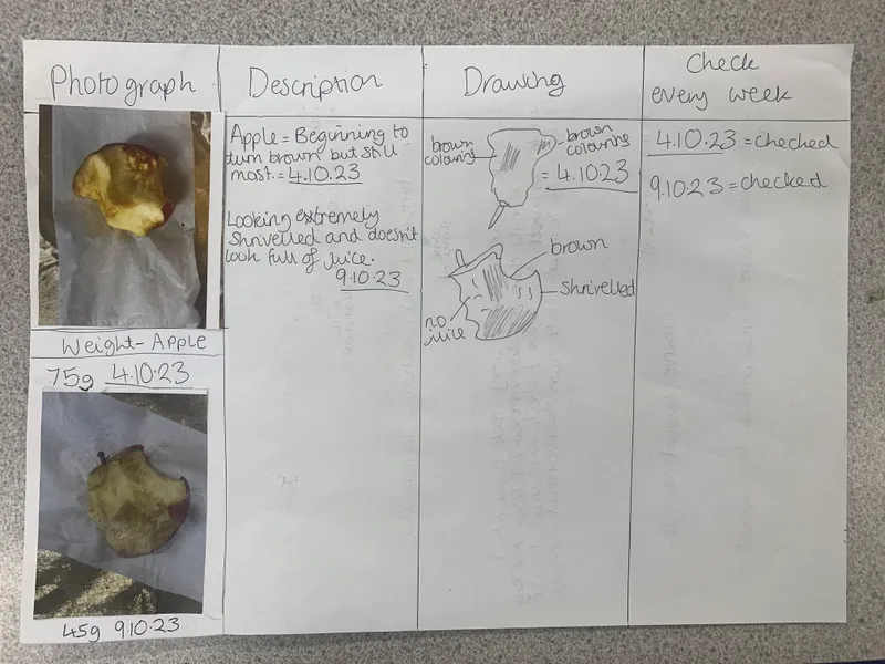 Gallery - created at 2023-10-12 11:42:37 - image 2