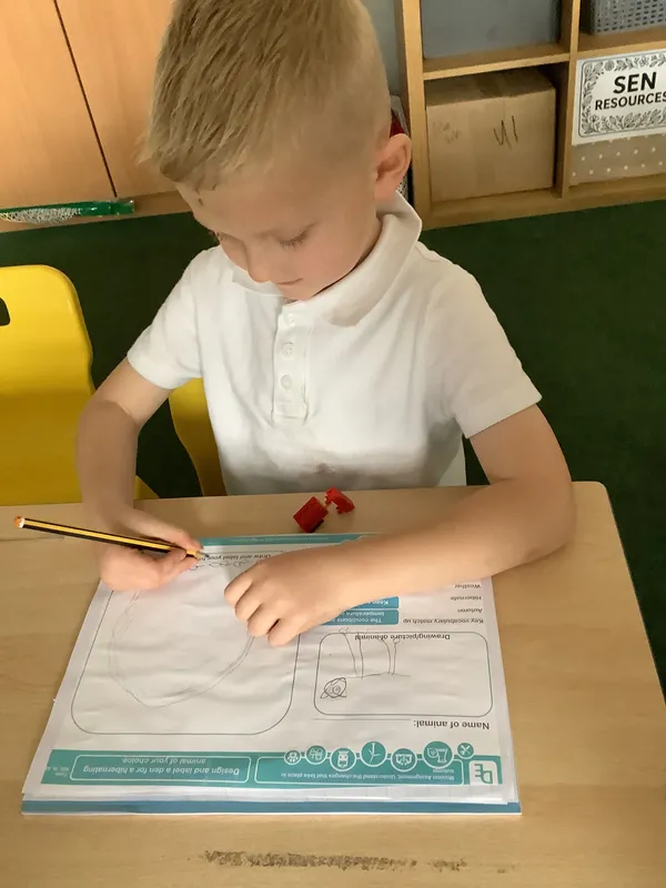 Gallery - created at 2025-10-04 06:13:36 - image 2 Gallery - created at 2025-10-04 06:13:36 - image 2