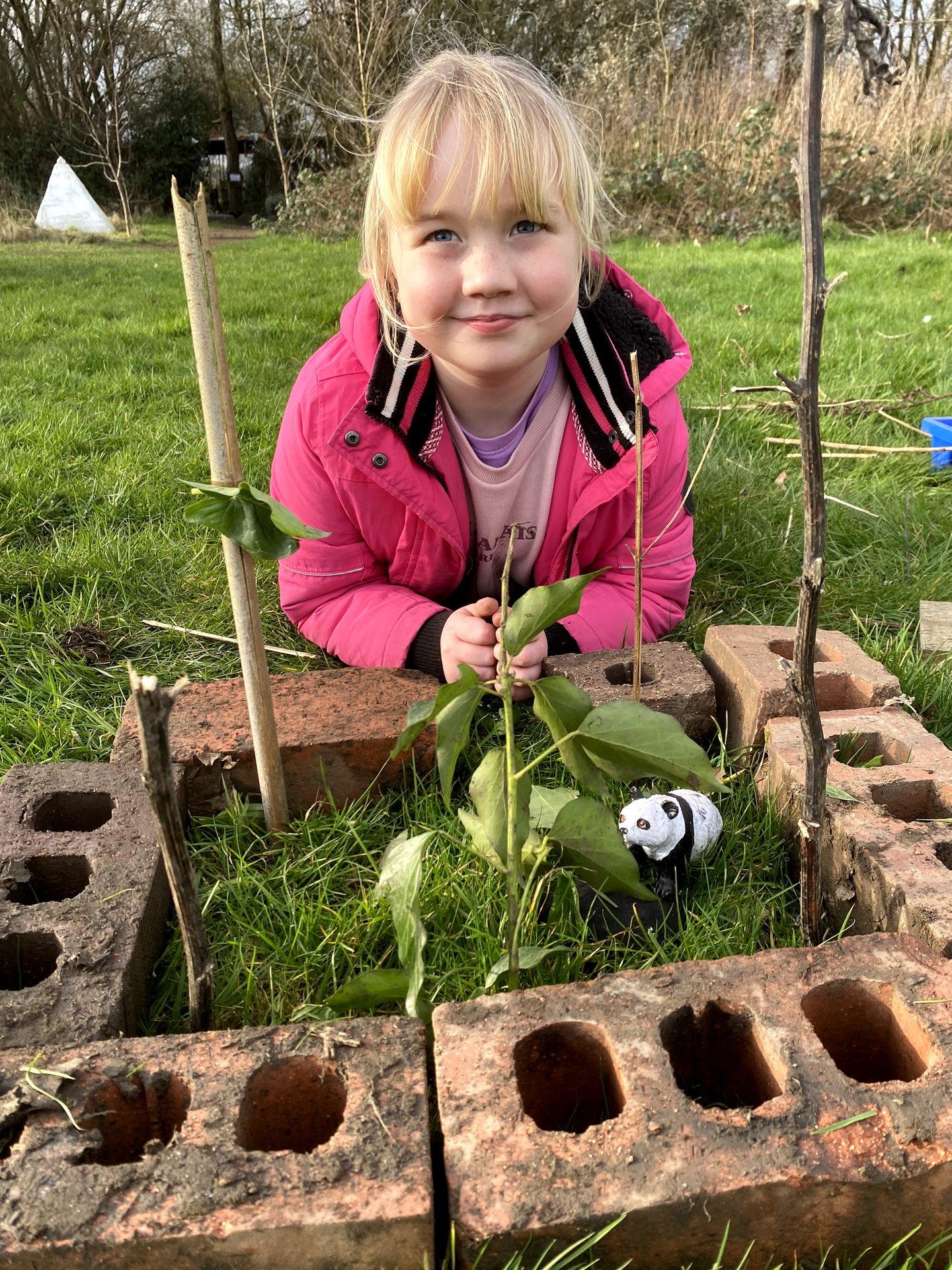 This week in TB - WC 23/02/26