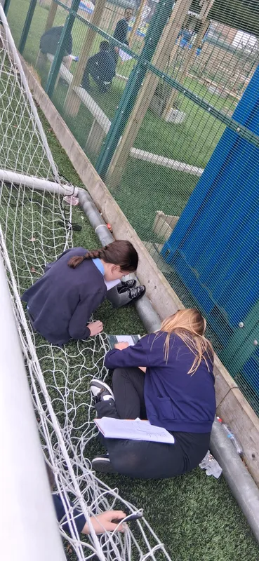 y6 active learning - image 23