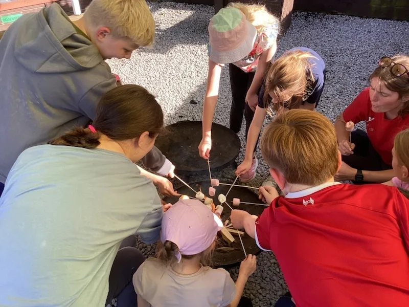 Gallery - created at 2024-09-16 20:10:15 - image 27 Gallery - created at 2024-09-16 20:10:15 - image 27