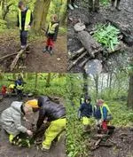 Forest School 70 - image 4 Forest School 70 - image 4