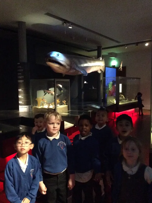 Gallery - created at 2024-02-09 11:53:37 - image 59