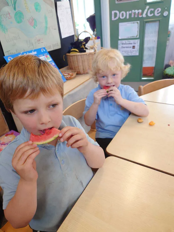 The Very Hungry Caterpillar Fruit Tasting - image 7 The Very Hungry Caterpillar Fruit Tasting - image 7