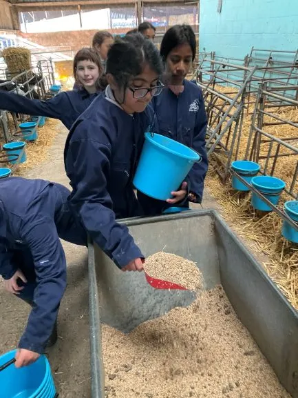 Farm Trip 25 - Gallery 2 - image 32