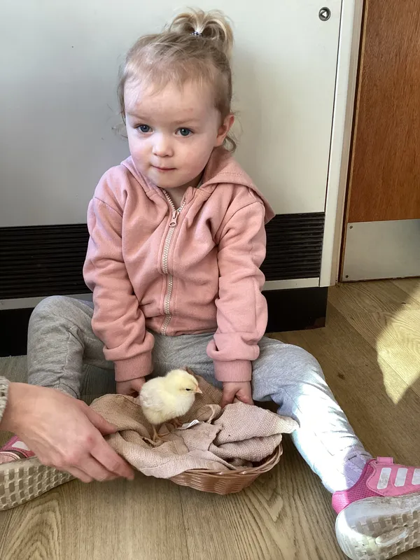 Gallery - created at 2025-04-08 15:36:47 - image 28