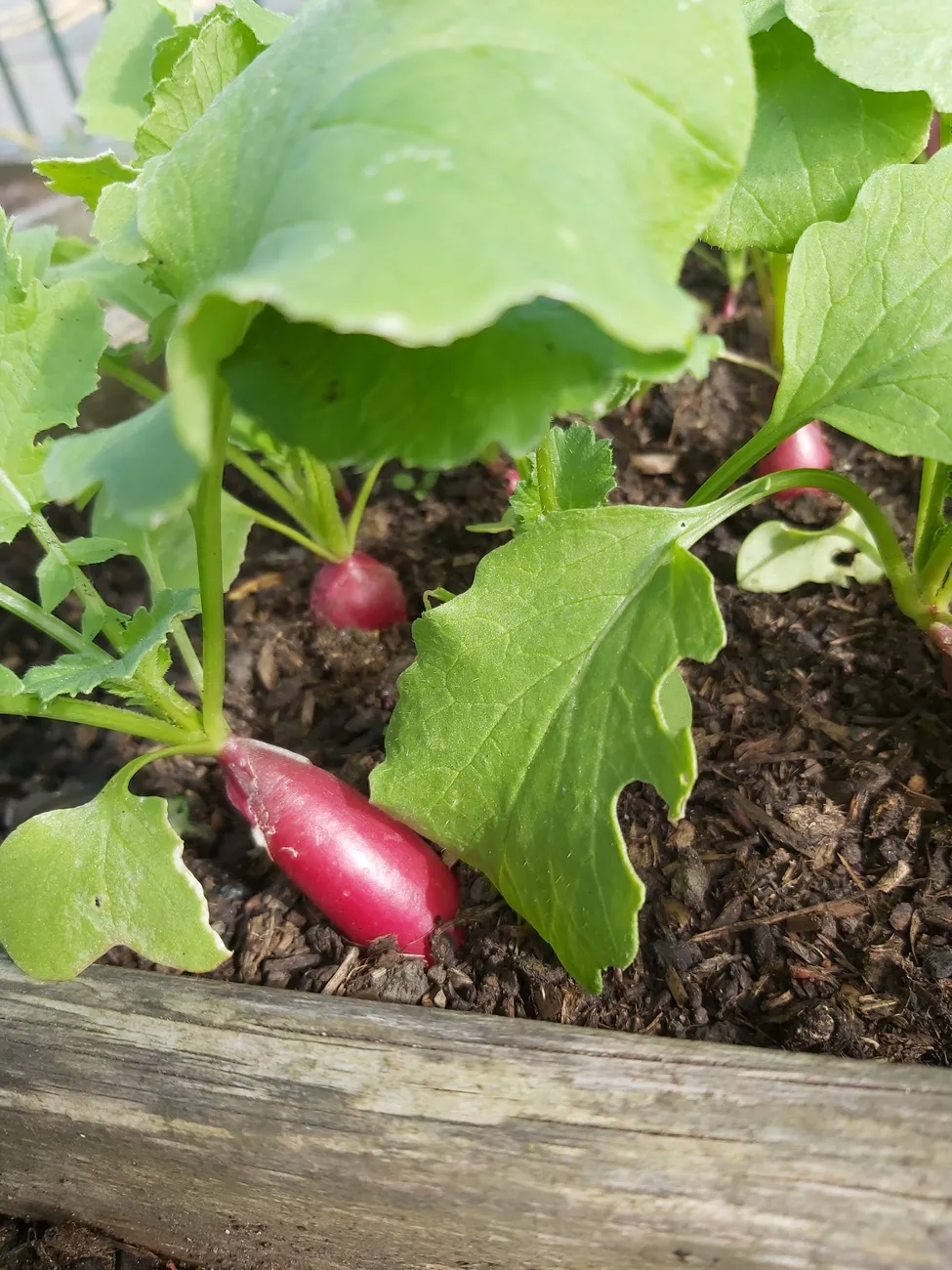 Gallery - created at 2023-09-07 16:46:06 - image 30 Gallery - created at 2023-09-07 16:46:06 - image 30