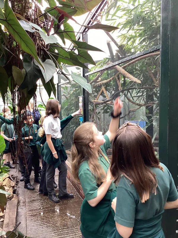 Gallery - created at 2025-03-14 10:11:21 - image 36 Gallery - created at 2025-03-14 10:11:21 - image 36