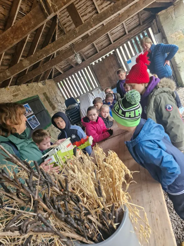 Gallery - created at 2024-10-02 11:38:57 - image 12 Gallery - created at 2024-10-02 11:38:57 - image 12