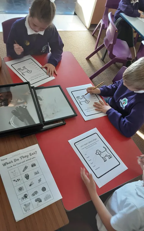 Gallery - created at 2024-09-26 10:17:01 - image 2 Gallery - created at 2024-09-26 10:17:01 - image 2