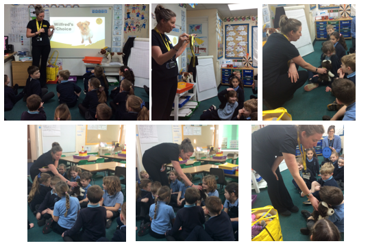 Dog's Trust Visit