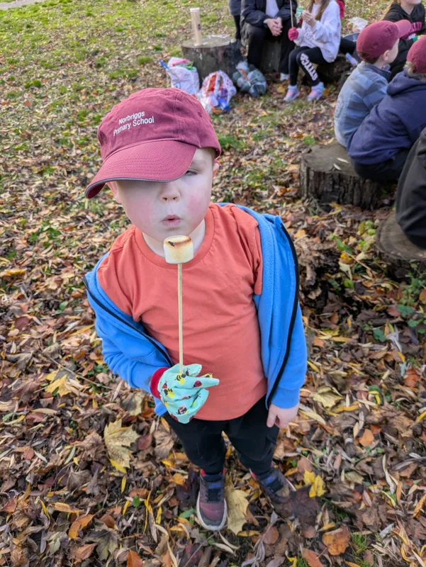 Gallery - created at 2025-11-13 15:34:26 - image 13