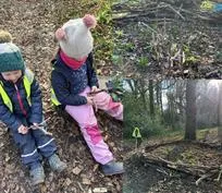 Forest School 79 - image 3 Forest School 79 - image 3