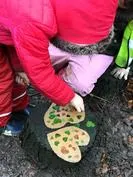 Forest School 108 - image 2 Forest School 108 - image 2