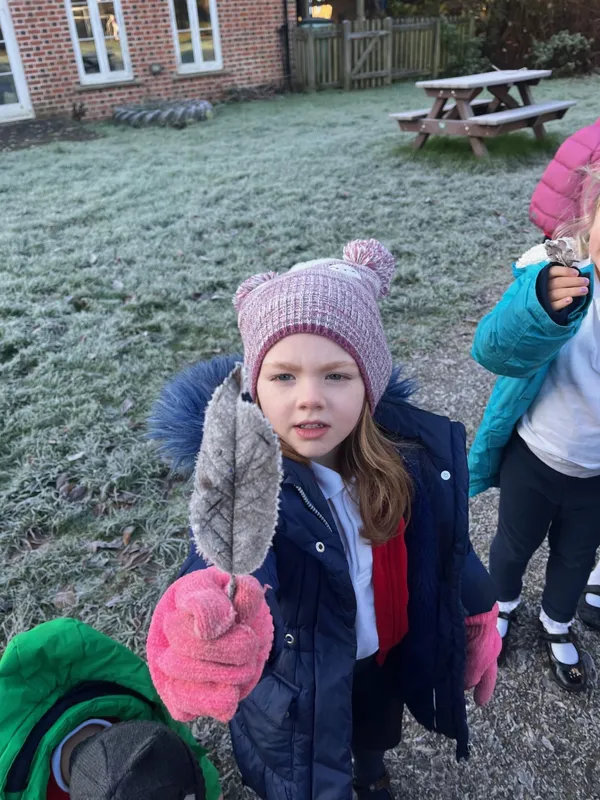 Gallery - created at 2023-12-01 11:42:27 - image 6