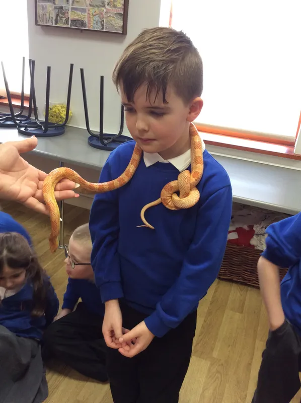 Gallery - created at 2024-02-26 17:15:57 - image 52 Gallery - created at 2024-02-26 17:15:57 - image 52