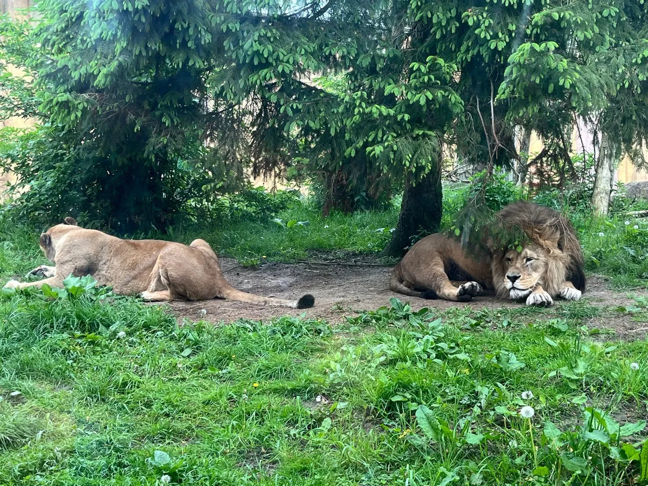 Gallery - created at 2024-06-06 15:03:55 - image 63