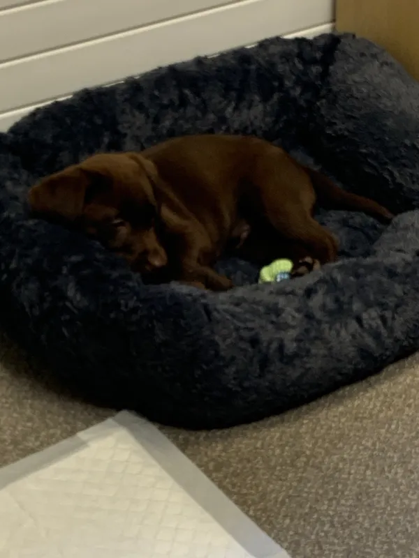 Gallery - created at 2021-06-30 13:57:57 - image 2